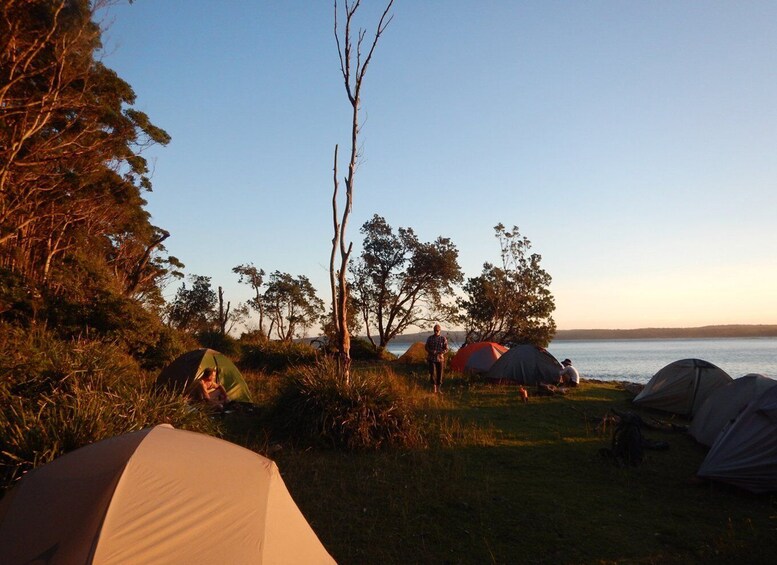 Picture 2 for Activity Batemans Bay: 2-Day Kayaking and Camping Adventure