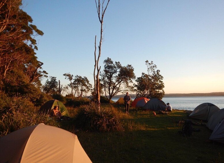 Batemans Bay: 2-Day Kayaking and Camping Adventure