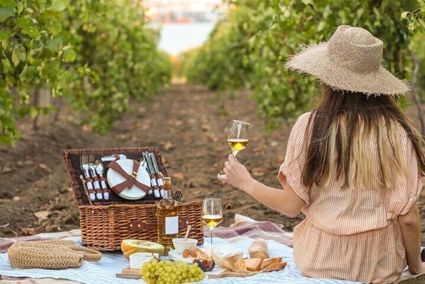 Picnic and large benches in Monforte d'Alba