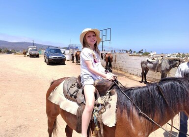 Ensenada: Punta Banda Horseback Riding Tour