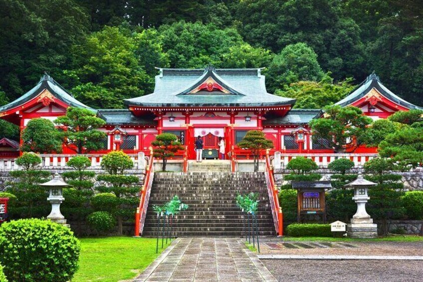 Seasonal colors at Ashikaga Flower Park from Nagano and Karuizawa