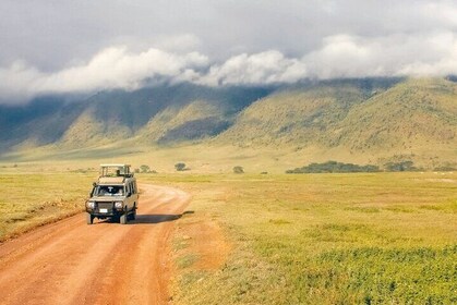 5 Days Migration and Ngorongoro Wonders