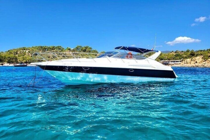 Half Day Luxury Boat Charter in Palm Beach. 