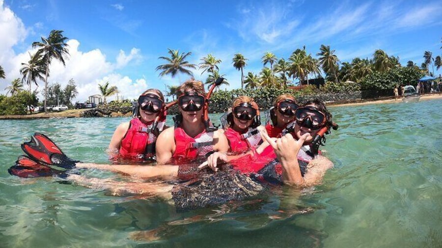 San Juan: Snorkeling with Turtles Adventure and Free Videos