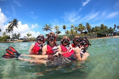 San Juan: Snorkeling with Turtles Adventure and Free Videos