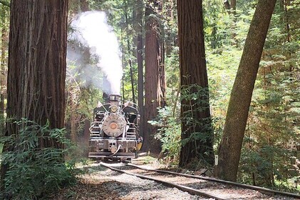 Train Ride Adventure through Mother Natures Giant Redwoods Park