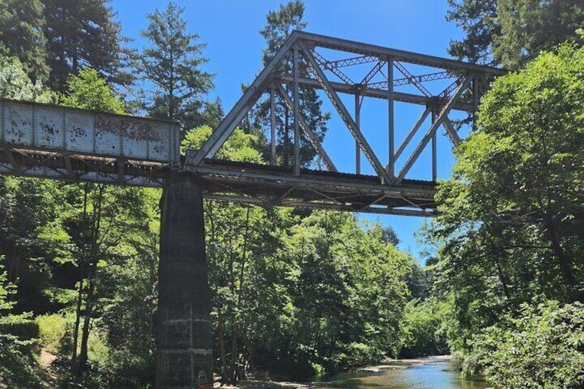 Train Ride Adventure through Mother Natures Giant Redwoods Park