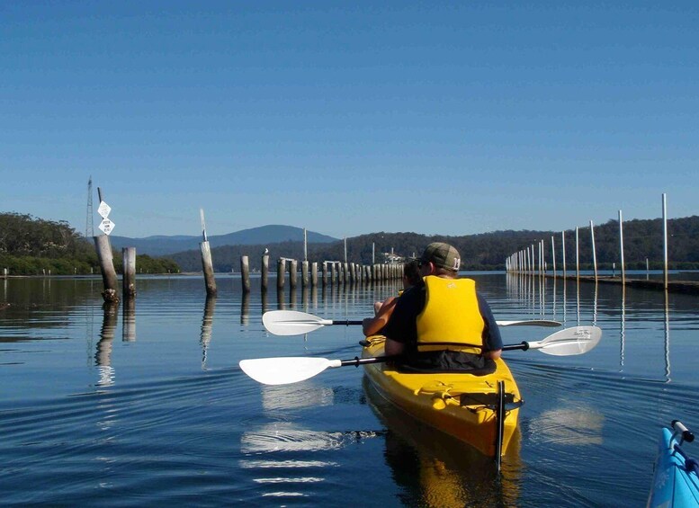 Batemans Bay: Oyster Tasting Kayak Tour