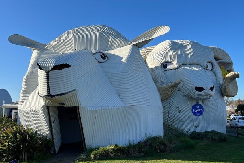 Corrugated Capital - Tirau 