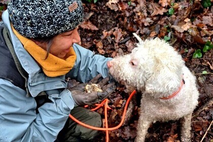 Truffle Hunting and Lunch in Piedmont Trattoria