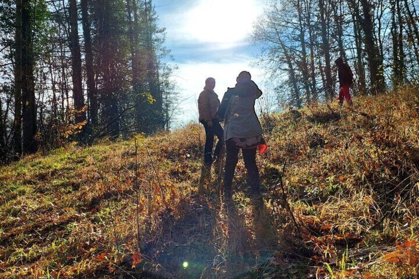 Shared Truffle Hunting with Lunch and Wine Tasting