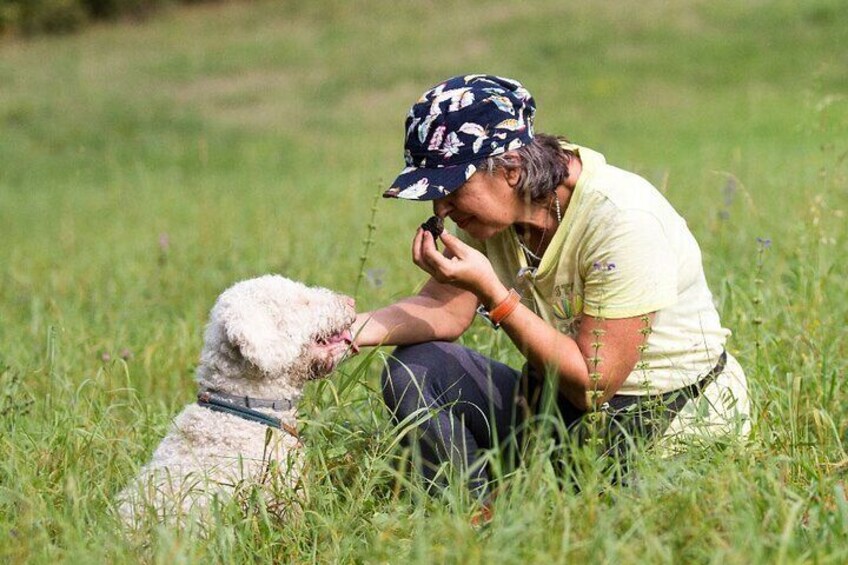 Shared Truffle Hunting with Lunch and Wine Tasting