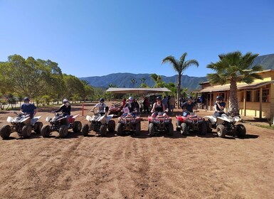 Ensenada: Canopy and quad bike Tour at Las Cañadas