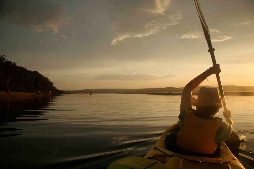 Picture 4 for Activity Pizza Paddle - Dinner Kayak Tour in Batemans Bay