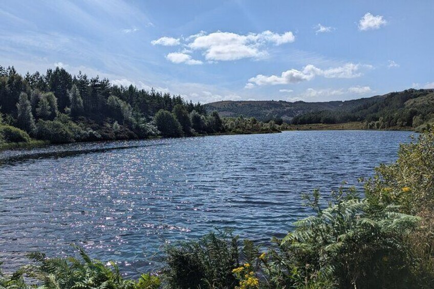 Steamship Cruise, Sheepdog Demo, Foraging Walk, Trossachs Trail