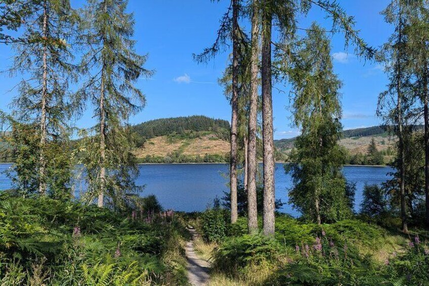 Steamship Cruise, Sheepdog Demo, Foraging Walk, Trossachs Trail