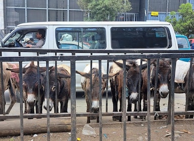 Addis Ababa: Mercato Market Private Guided Walking Tour