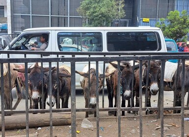 Addis Ababa: Mercato Market Private Guided Walking Tour