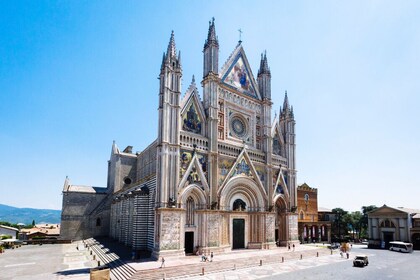 Excursión a Orvieto y Asís con visitas a iglesias desde Florencia