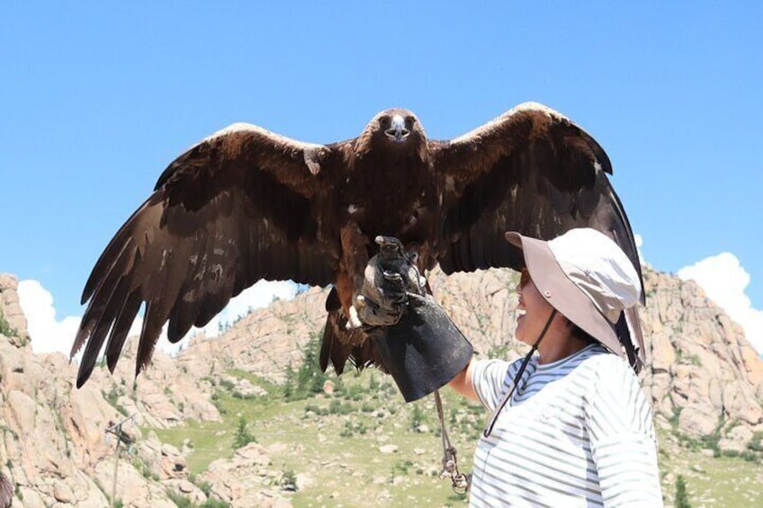 Handling eagle 