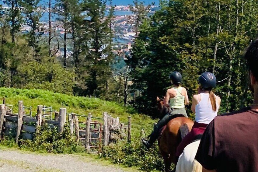 Explore Scenic Mountains and Horseback Riding 