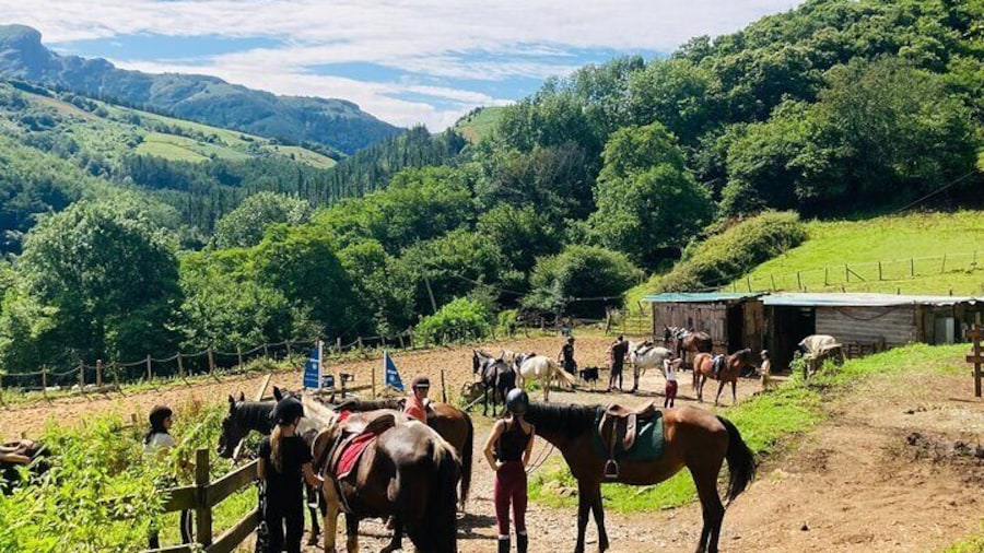 Explore Scenic Mountains and Horseback Riding