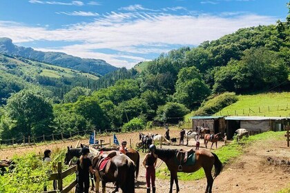 Explore Scenic Mountains and Horseback Riding