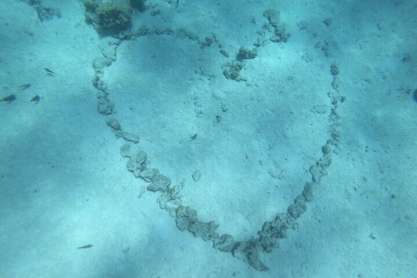 Coral Heart