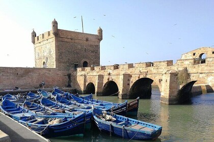 Over day city tour Essaouira & Cooking Class & Lunch - Marrakesh