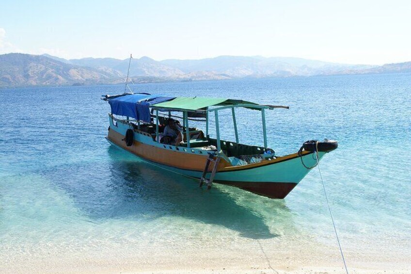 Komodo National park tours 3days and 2nights