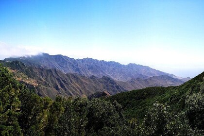 Nature and Culture Tour in Candelaria La Laguna and Anaga