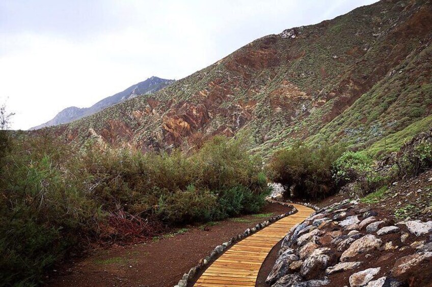 Nature and Culture Tour in Candelaria La Laguna and Anaga