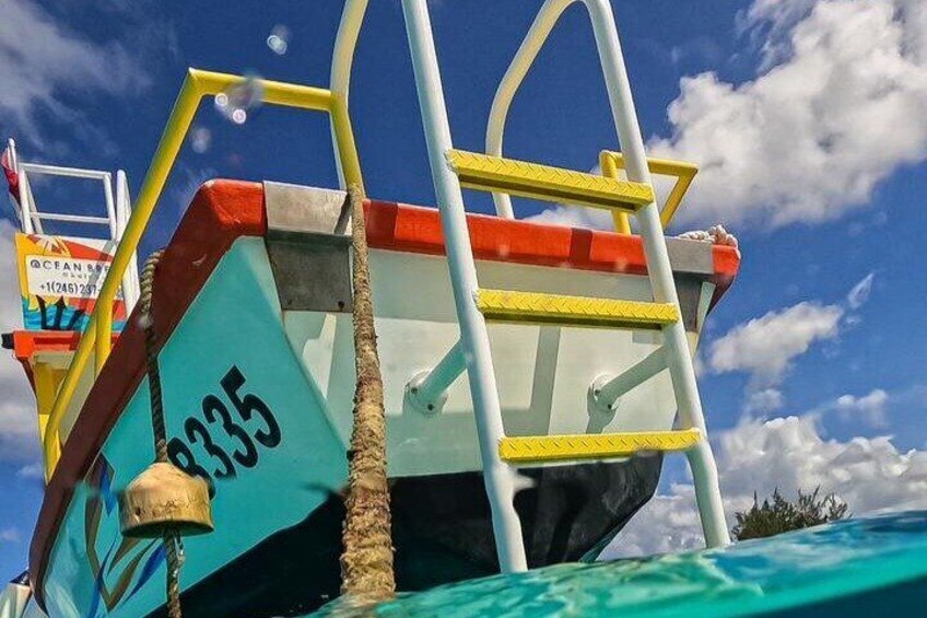 Barbados Glass Bottom Boat Cruise and Snorkeling