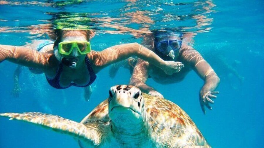 Barbados Glass Bottom Boat Cruise and Snorkeling