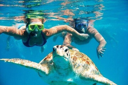 Barbados Glass Bottom Boat Cruise and Snorkelling