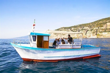 Full Day Fishing Tour in Sorrento