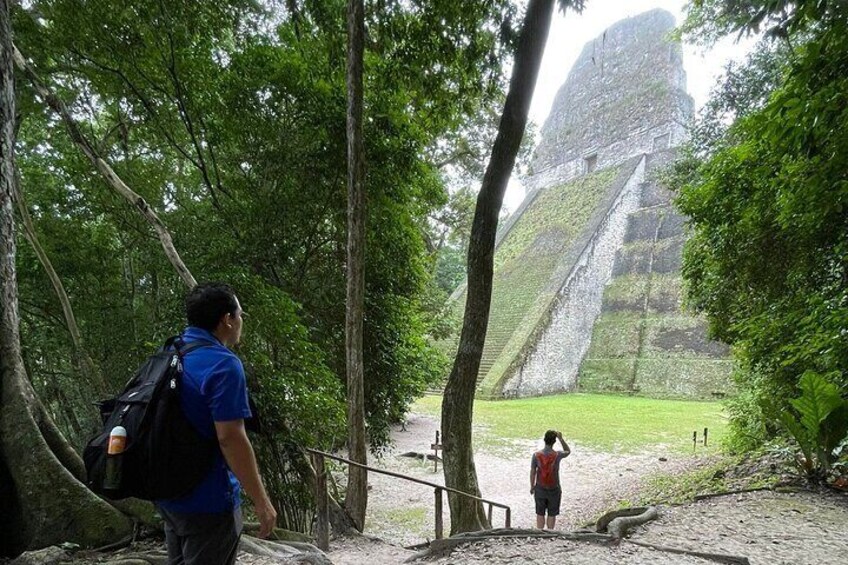 Tikal Vip Private Tour from Flores Guatemala with transportation 