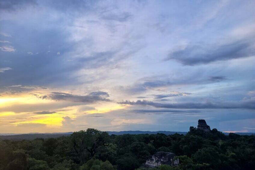 Tikal Vip Private Tour from Flores Guatemala with transportation 