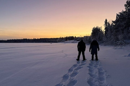 Small Group Snowshoeing and Reindeer Farm Visit