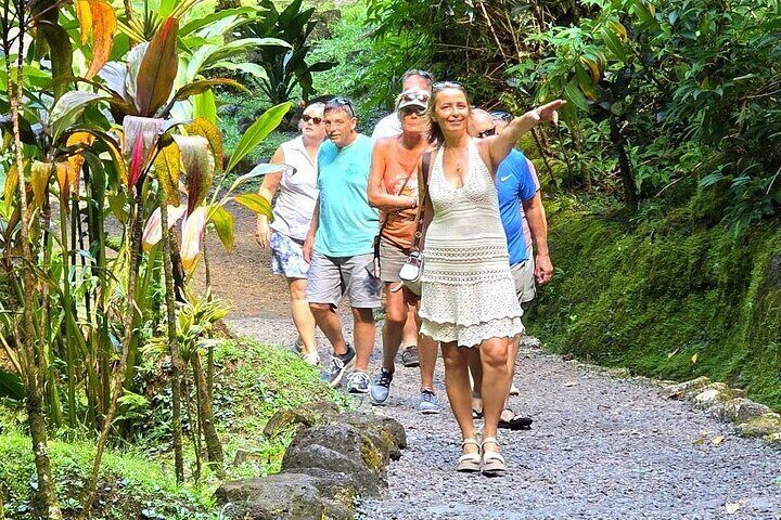 Private Tahiti Circle Island - Waterfalls, Black Sand & Views