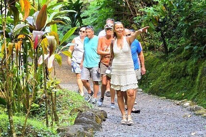 Amazing attractions of Tahiti charming island – Private half day circle tou...