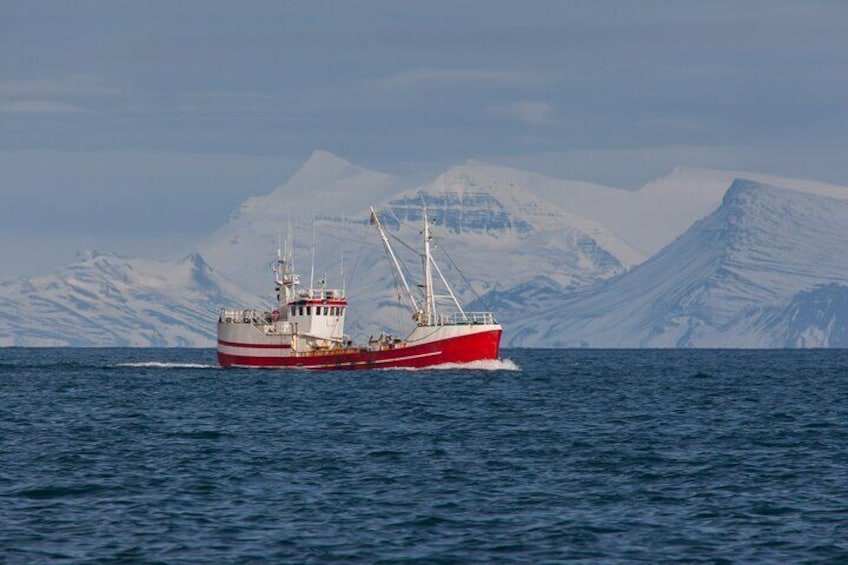 Icelands Reykjavik SelfGuided Walking Audio Tour