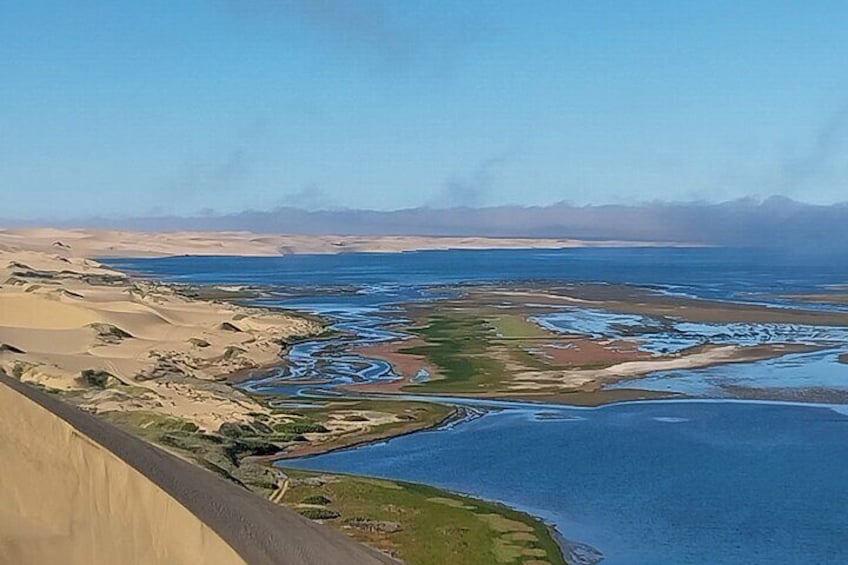 Marine Dune Day: Catamaran Cruise and Sandwich Harbor Dune Drive