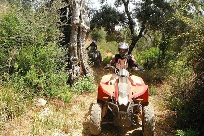 Paderne Adventure Quad Ride