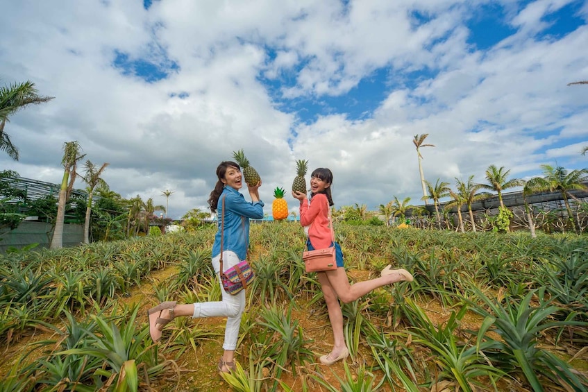 Picture 2 for Activity Naha: North Okinawa Sightseeing Tour & Churaumi Aquarium