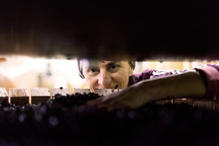 Red Grapes pressing