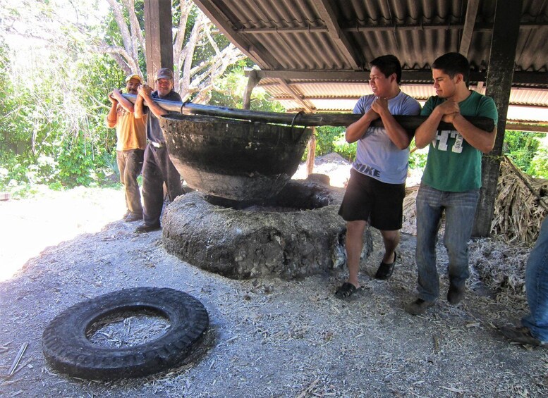 Picture 6 for Activity Tzimol, Chiapas: Town Tour, Sugarcane Factory, Magic Forest