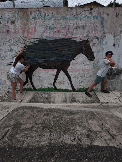 Picture 5 for Activity Tzimol, Chiapas: Town Tour, Sugarcane Factory, Magic Forest