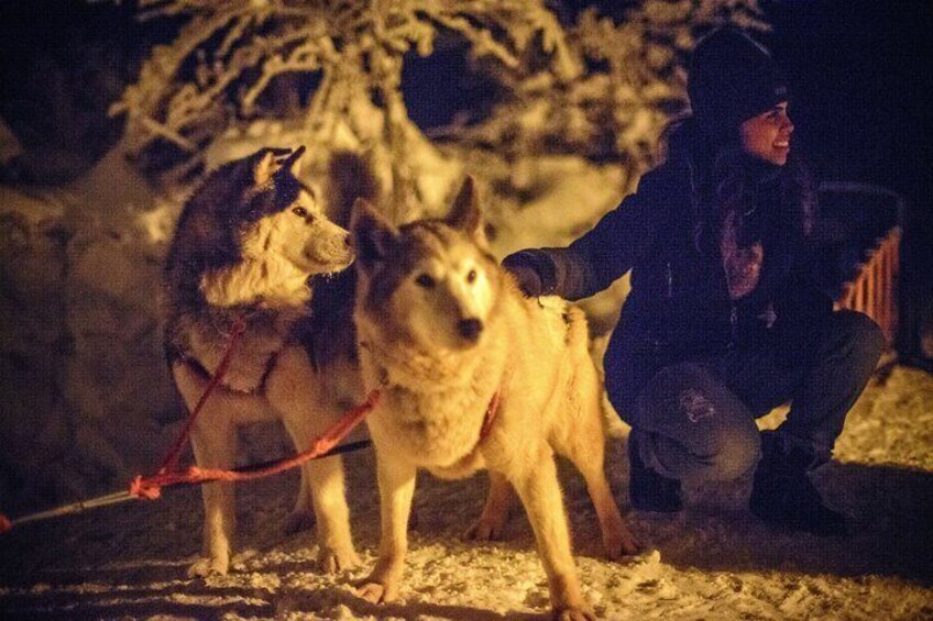 USHUAIA | Snow and Fire