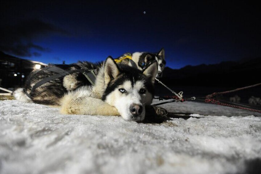 USHUAIA | Snow and Fire